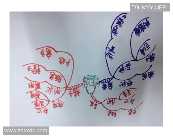深圳乒乓球队的区域防守策略深度解析与实战应用探讨